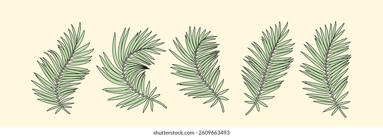 Set of vector silhouettes tropical palm leaves. Exotic jungle leaf, outline style.