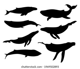 Vektor Stok Set Vector Silhouettes Whales Black White (Tanpa Royalti ...