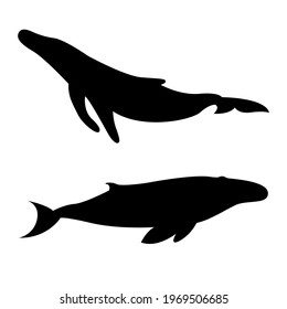 Set of vector silhouettes of whales. Black and white whale icon. Killer whale. Sea dweller. Vector illustration.