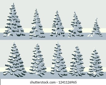 Set of vector simple illustration of snowy spruce trees (fir, fir-tree).