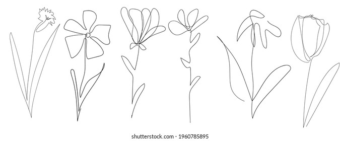 set of vector single one line drawn set of flowers. handdrawing outline illustration isolated on white background. Botanical icons