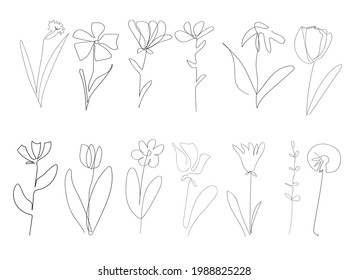 set of vector single one line drawn set of flowers. handdrawing outline illustration isolated on white background. Botanical icons