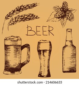 Set of vector sketch beer, hop and wheat. Hand drawn illustration.