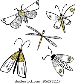 Conjunto de mariposas de esbozo vectorial, polillas. Ilustración dibujada a mano. Fondo blanco y negro. Mariposa nocturna