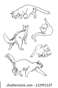 Set of vector sketch cats