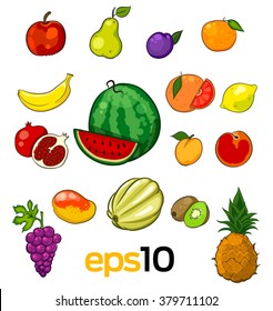 set of vector sketch fruits on a white. Vector colourful collection of fruits, including watermelon, grapes, banana