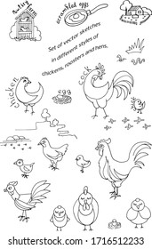 Set of vector sketches in different styles of hens, roosters and hens black outline on a white background.