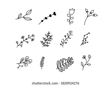 Set of vector sketches and line doodles logo. Hand drawn design elements isolated flowers, leaves, herbs for decoration prints, labels, patterns. Illustration coloring book.