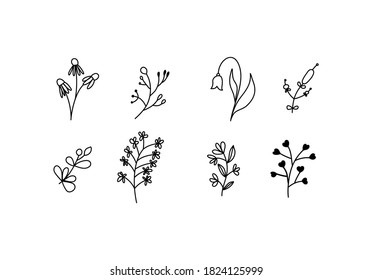 Set of vector sketches and line doodles logo. Hand drawn design elements isolated flowers, leaves, herbs for decoration prints, labels, patterns. Illustration coloring book.