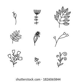 Set of vector sketches and line doodles logo. Hand drawn design elements isolated flowers, leaves, herbs for decoration prints, labels, patterns. Illustration coloring book.