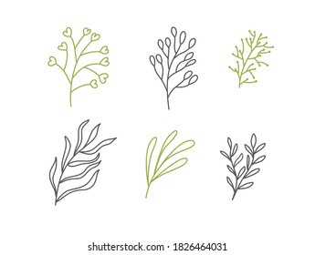 Set of vector sketches and line doodles logo organic. Hand drawn design elements isolated flowers, leaves, herbs for decoration prints, labels, patterns. Illustration coloring book.