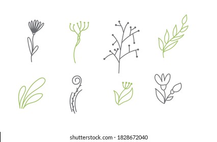 Set of vector sketches and line doodles logo organic. Hand drawn design elements isolated flowers, leaves, herbs for decoration prints, labels, patterns. Illustration coloring book.