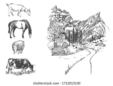 Set of Vector sketches of mountain village and farm animals: horse,sheep, cow and goat. Hand drawn illustration. 