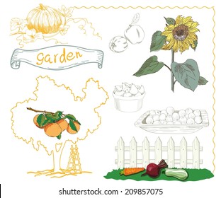 set of vector sketches on the theme of horticulture