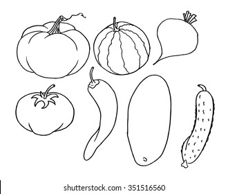 Set of vector sketches of vegetables