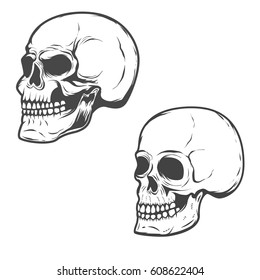 Set of the vector skulls isolated on white background. 