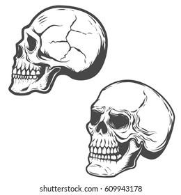 Set of the vector skulls isolated on white background. 