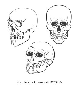 Set Vector Skulls On White Background Stock Vector (Royalty Free ...