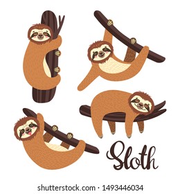 Set with vector sloth on the branch. Topical ear on white background. Animal illustration.