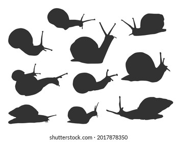 Set vector of the Snail, The shadow of different poses isolated on white background.