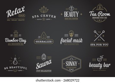 Set of Vector Spa Beauty Yoga Sport Elements Illustration
 can be used as Logo or Icon in premium quality
