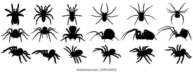 set vector spider silhouettes icon. tarantula. widow spiders. Halloween spider symbol design template illustration