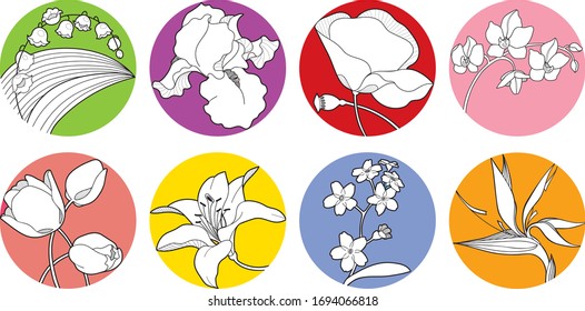 set of vector spring blossom, wildflower, iris, orchid, forget-me-not, strelitzia, may-lily, lily, poppy, tulip