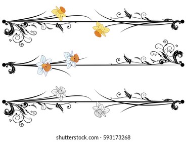 set of vector spring dividing with flowers of narcissus