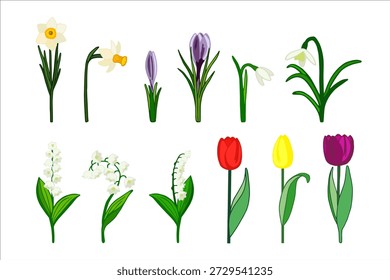 Conjunto de flores de primavera de Vector. Elemento de decoración floral de primavera.