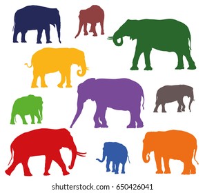 Satz Vektorillustration, die indianische und afrikanische Elefanten in verschiedenen Farben auf weißem Hintergrund steht