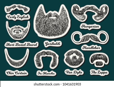 Beard Name Stock Vectors Images Vector Art Shutterstock