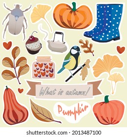 Conjunto de pegatinas vectoriales sobre el tema del otoño. Calabazas, botas de goma, pájaros, letras y más en tonos otoñales. 
