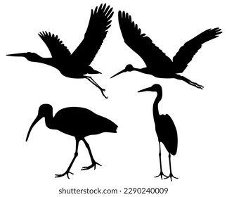 Set Vector storks birds black silhouette animal icon illustration