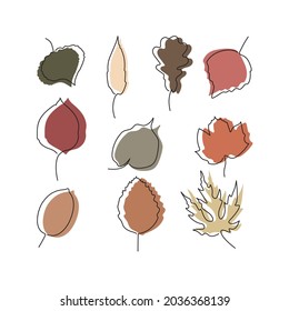 Set of vector stylized different autumn leaves