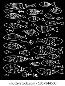 A set of vector stylized fish with white line patterns on a black background swimming in different directions . Collection of aquarium fish and fish skeletons hand-drawn in the style of Doodle. Linear