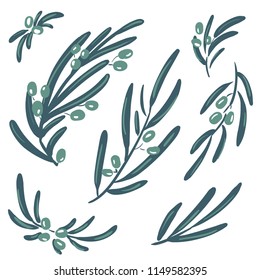 Set of vector stylized illustrations of olive branches isolated on white background.