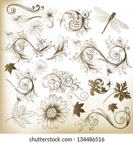 Set of vector swirl ornaments and leafs for design