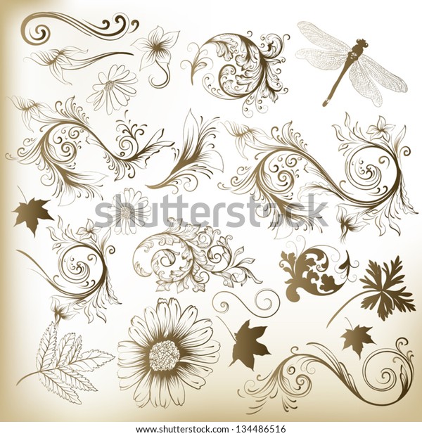Set of\
vector swirl ornaments and leafs for\
design