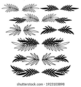 Set of vector symmetric elements, leaves, text separators, page decorations. Tropical leaves, palm tree
