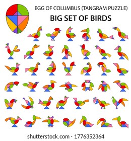 Set of vector tangram Egg (geometric puzzle) for the development of logical thinking of children and adults. Collection of 41 color shapes of birds. Vector illustration