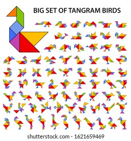 Set of vector tangram puzzles (geometric puzzle) for the development of logical thinking of children and adults. Collection of 75 color shapes of birds. Vector illustration