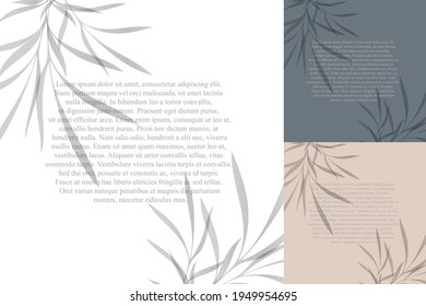 Set of vector templates with leaf shadow for your text. Three color options. Vector texture for background, wallpaper, own design