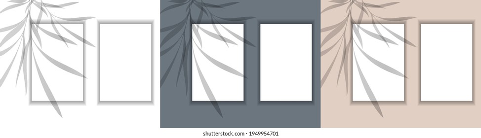 Set of vector templates with leaf shadow for your text. Three color options. Vector texture for background, wallpaper, own design