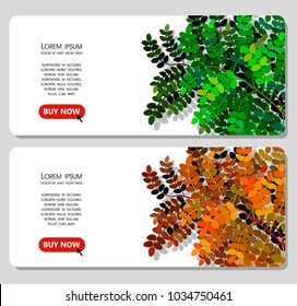 Set of vector templates with leaves on a white background.