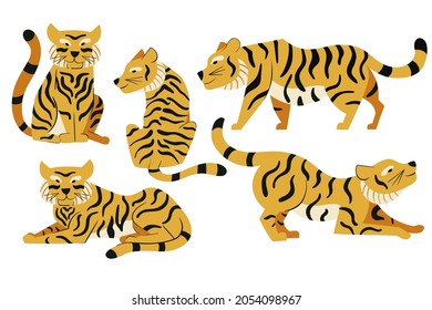 Set of vector tigers in flat design. Wild cats illustration isolated on white background 