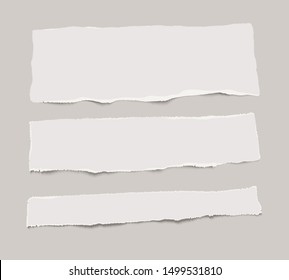 Set of vector torn paper stripes with shadow on transparent background. 