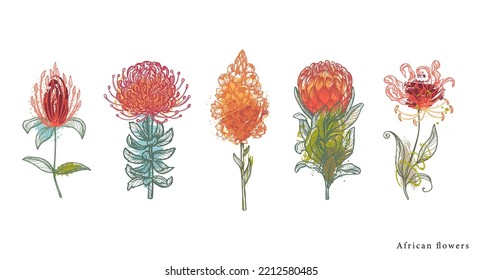 Set of vector traditional African flowers, plants and abstract texture.