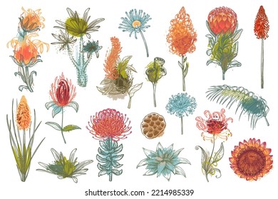 Set of vector traditional African flowers, plants and abstract texture.