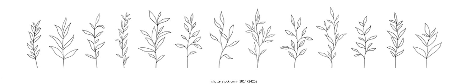 Set of vector tree branches and leaves. Hand drawn floral elements. One line drawing.