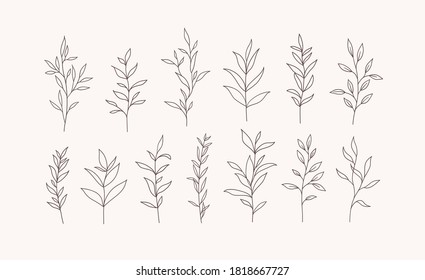 Set of vector tree branches and leaves. Hand drawn floral elements. One line drawing.